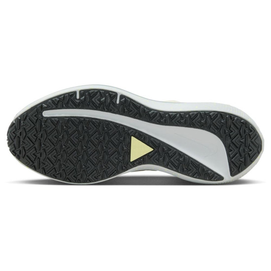 Nike Air Winflo Shield W